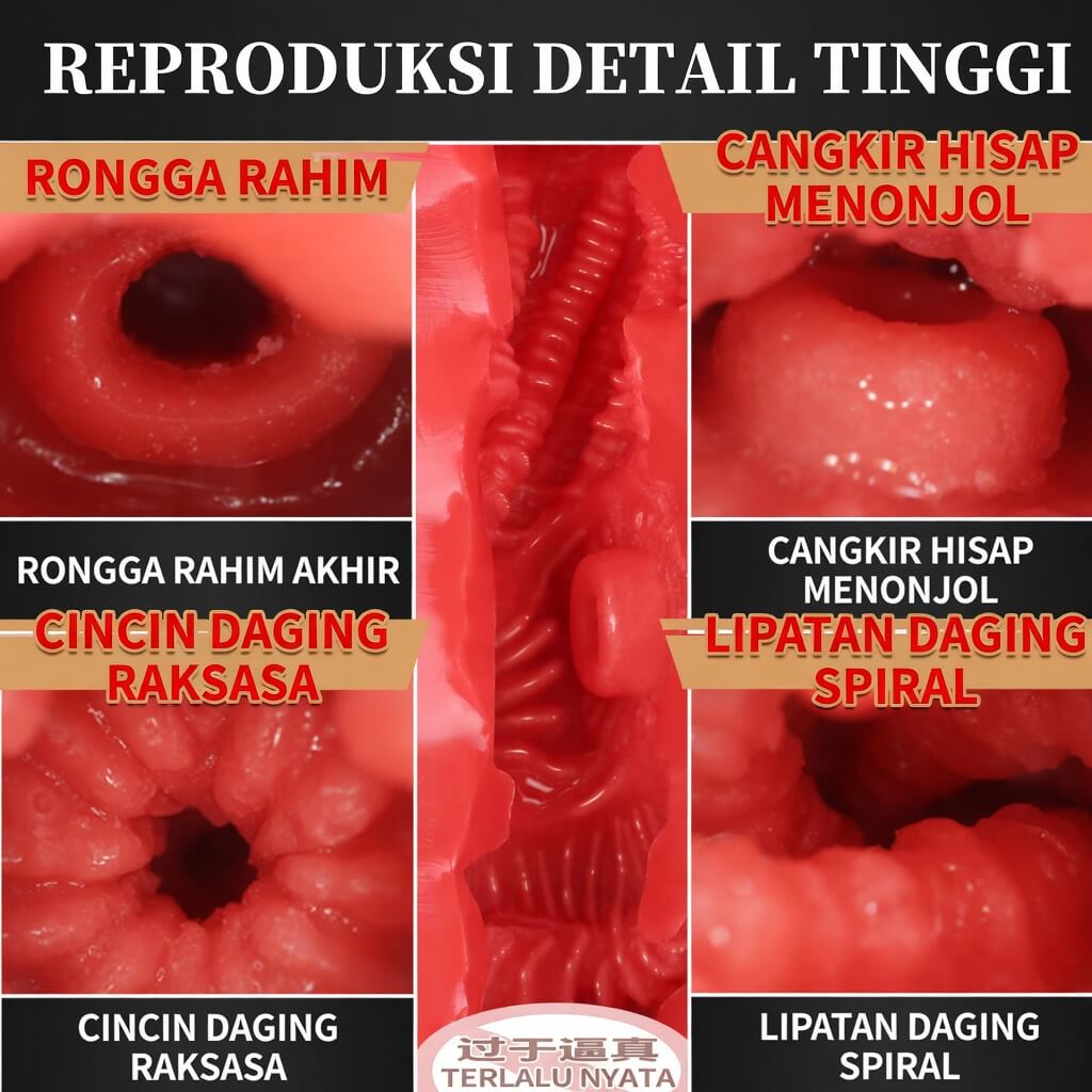Mizze Hashimoto II 2IN1 Tenga Snail Cup Alat Bantu Pijat Pria Onahole Toy - Gambar 6