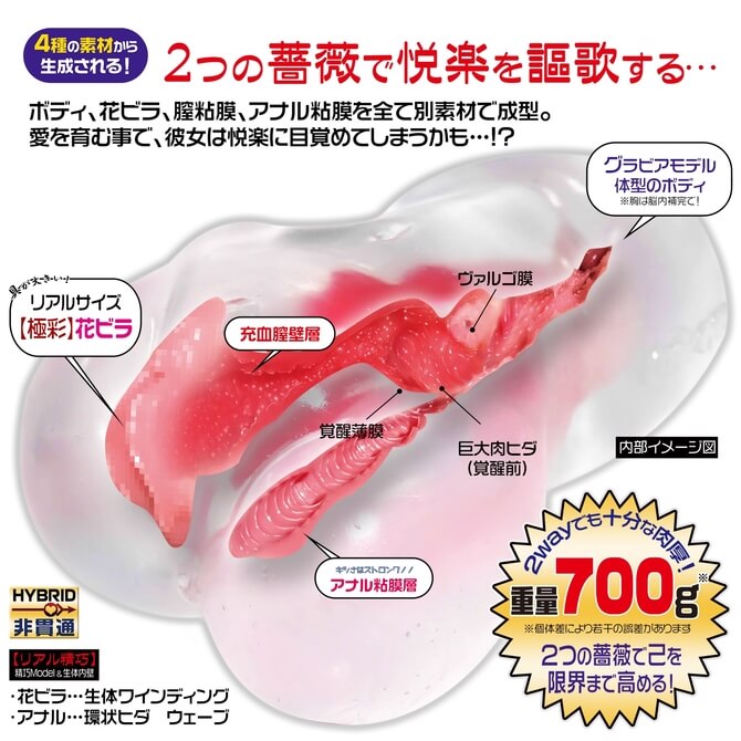 MagicEyes Tenga Snail Cup Rose Alat Bantu Pijat Pria Onahole Toy - Gambar 3