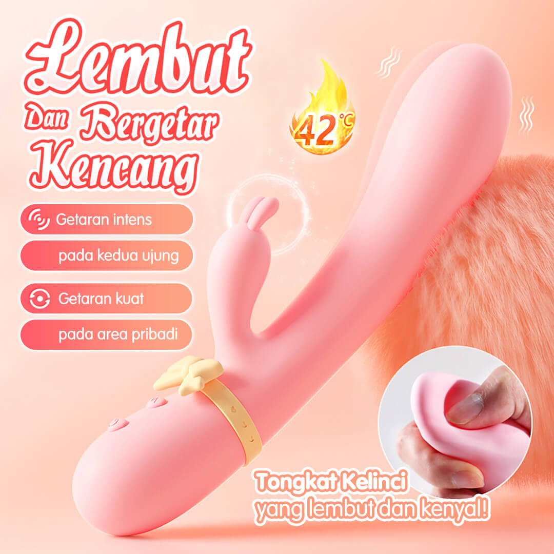 Mizze Rabbit Vibrator Alat Bantu Toys Wanita DPT USB Charge - Gambar 2