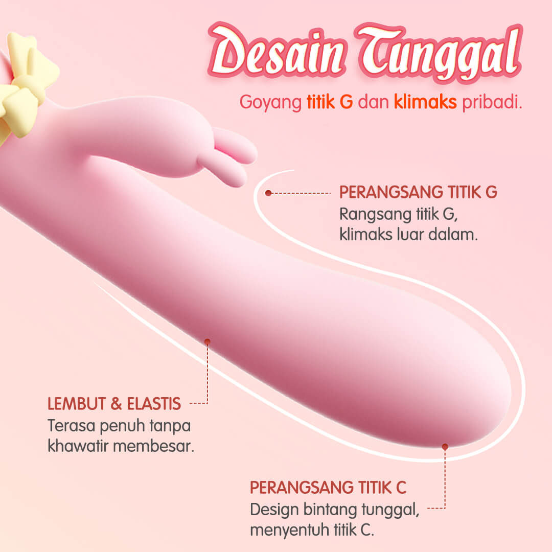Mizze Rabbit Vibrator Alat Bantu Toys Wanita DPT USB Charge - Gambar 5